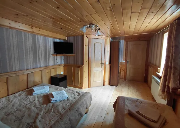 Hotel Shovkova Kosytsya *