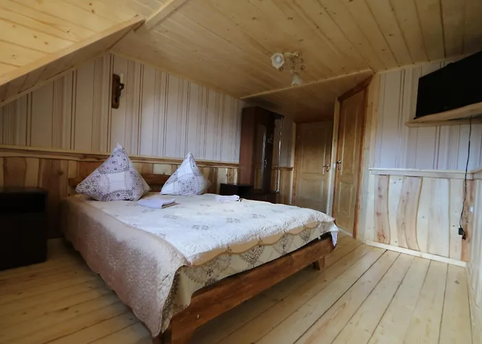 Otel Shovkova Kosytsya Drahobrat
